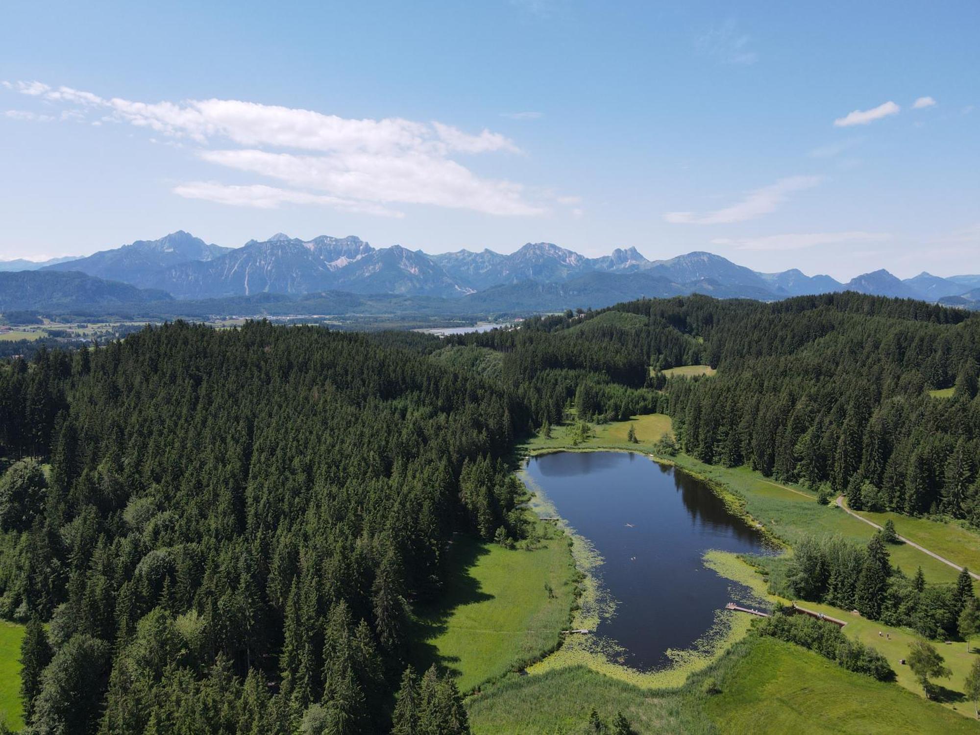 Chalet - Ferienwohnungen - Biohof Stoeger - Panoramasuedbalkon - Grandiose Aussicht Auf See, Berge Und Schloss Neuschwanstein Rieden Extérieur photo