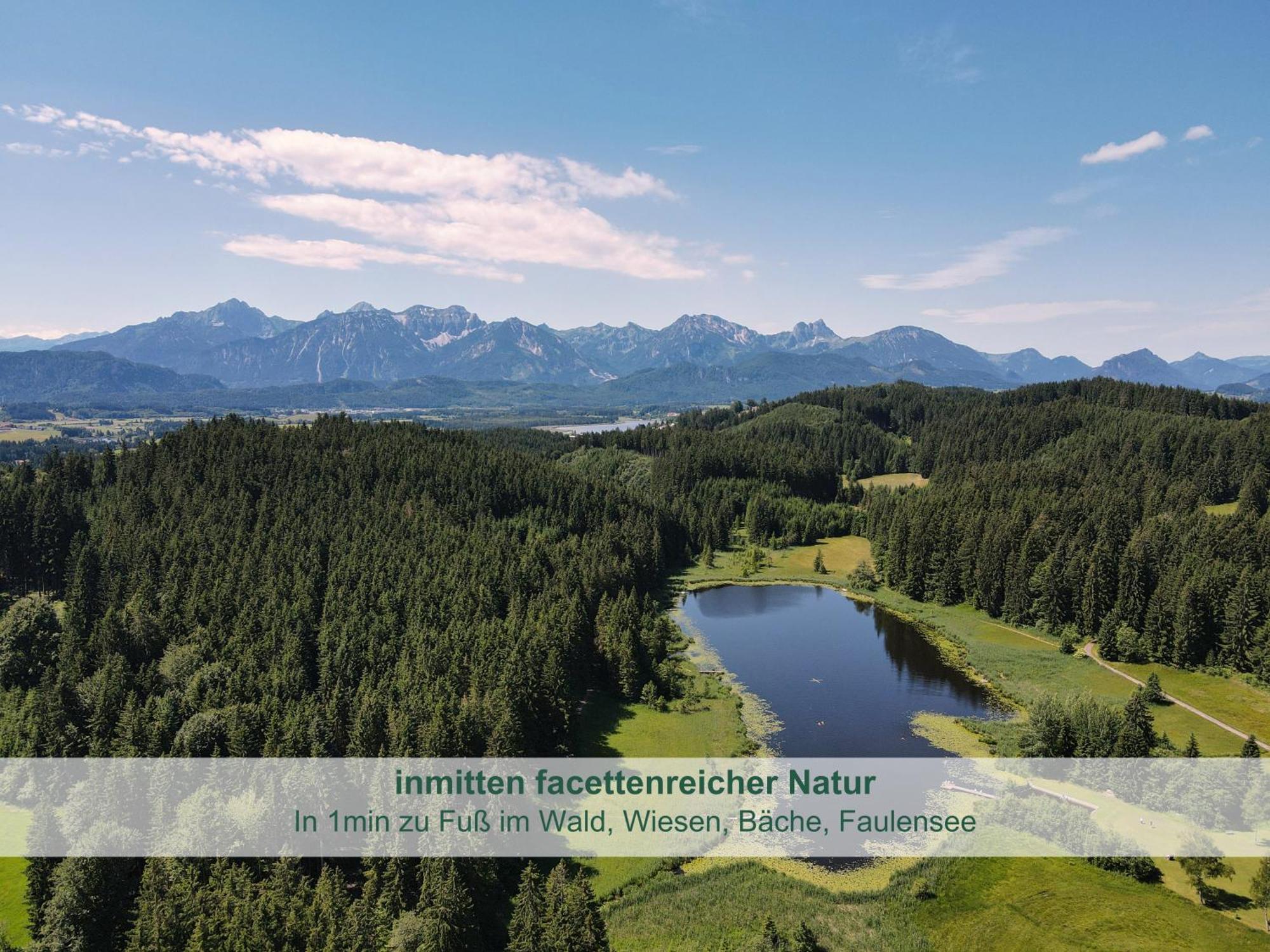 Chalet - Ferienwohnungen - Biohof Stoeger - Panoramasuedbalkon - Grandiose Aussicht Auf See, Berge Und Schloss Neuschwanstein Rieden Extérieur photo