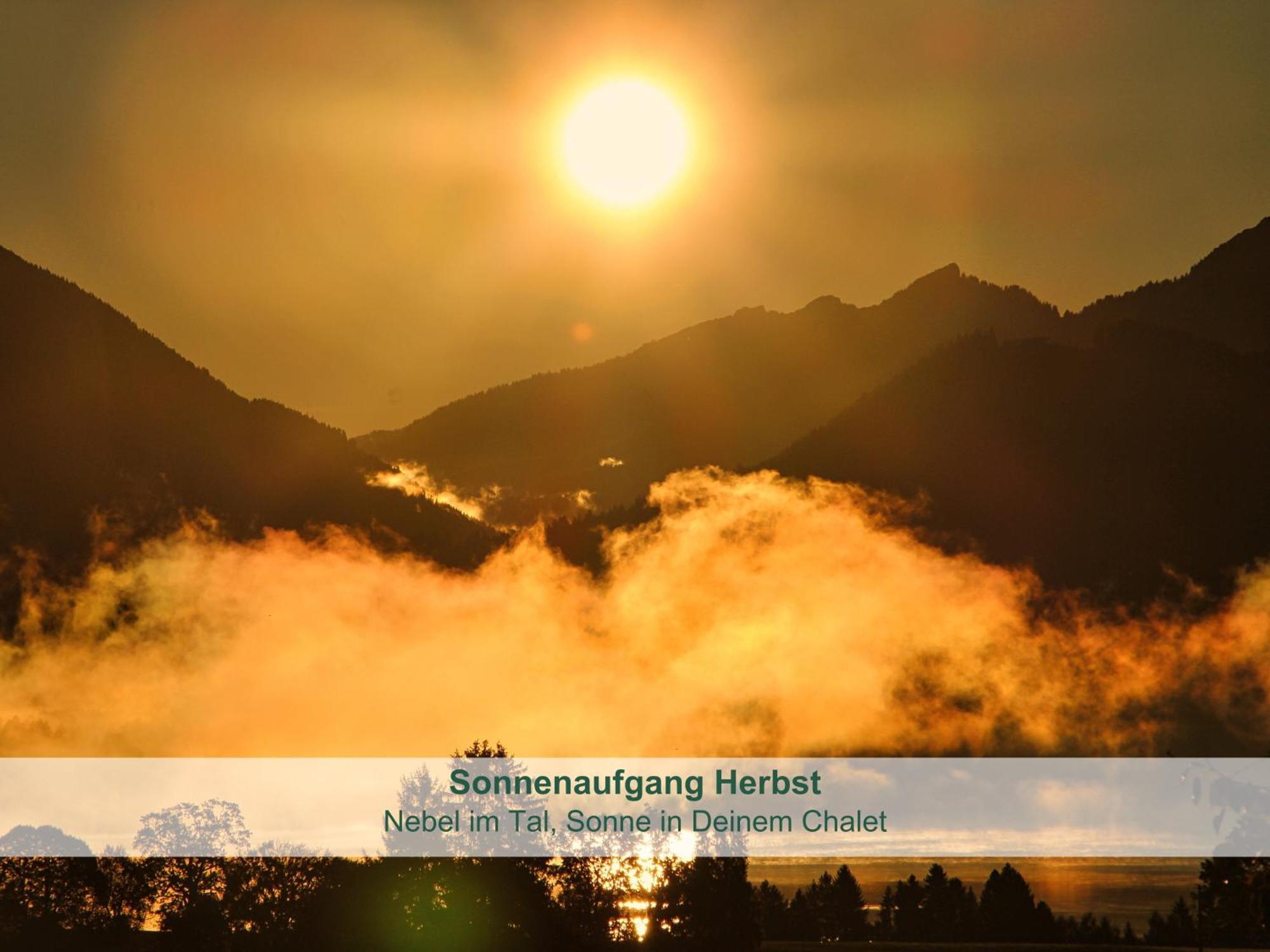Chalet - Ferienwohnungen - Biohof Stoeger - Panoramasuedbalkon - Grandiose Aussicht Auf See, Berge Und Schloss Neuschwanstein Rieden Extérieur photo